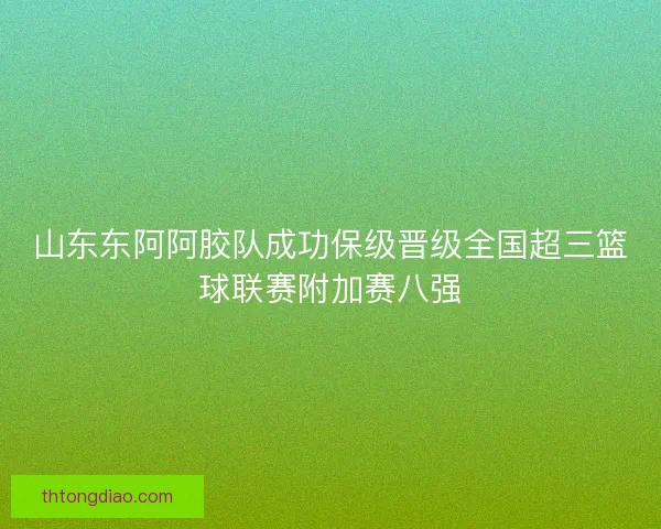 山东东阿阿胶队成功保级晋级全国超三篮球联赛附加赛八强