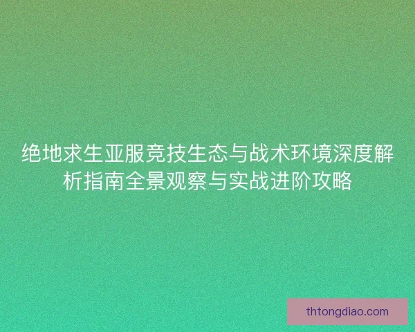 绝地求生亚服竞技生态与战术环境深度解析指南全景观察与实战进阶攻略