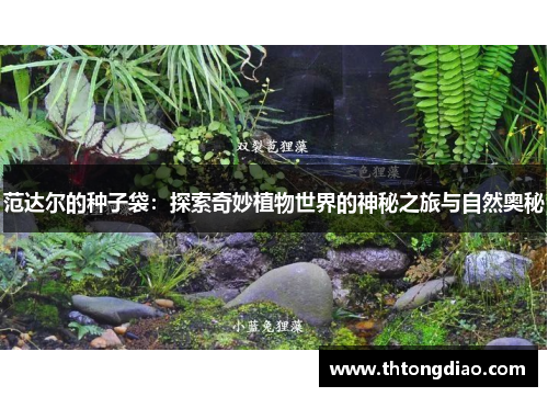 范达尔的种子袋：探索奇妙植物世界的神秘之旅与自然奥秘